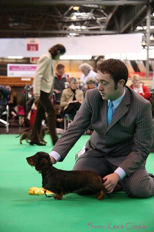 Crufts2011_2 1272.jpg